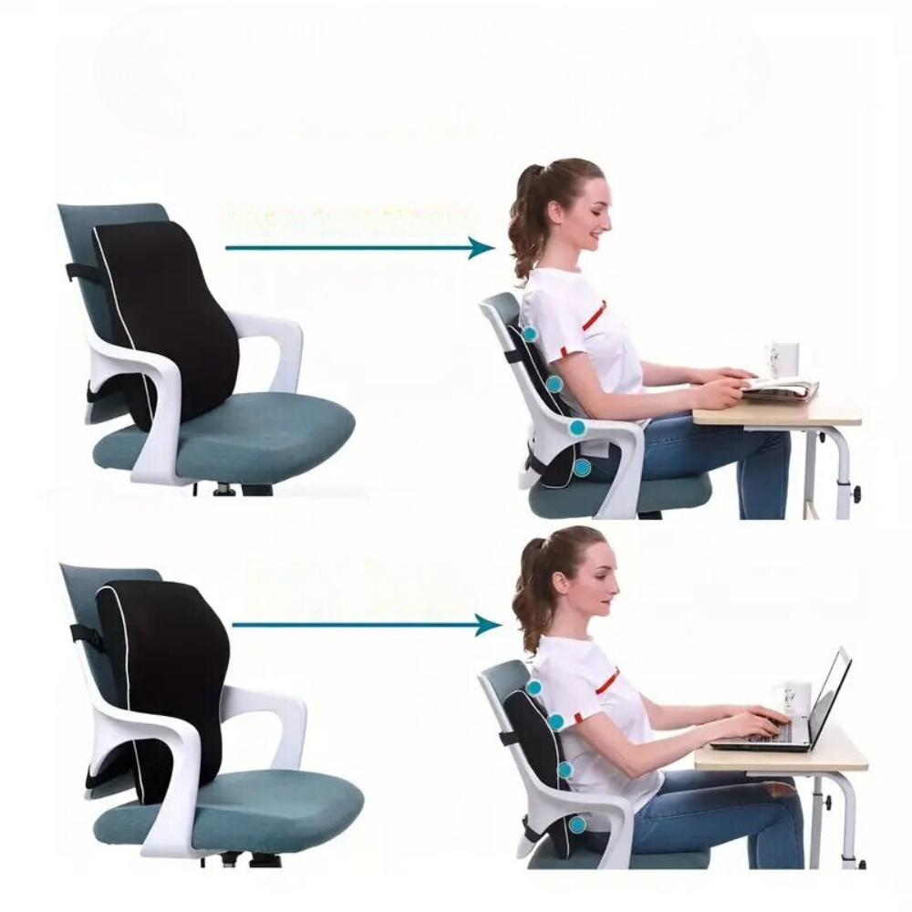 Ergonomic Lumbar Support Premium Cushion